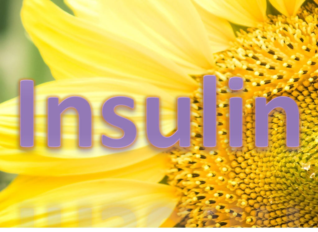 پاورپوینت ارائه انسولین